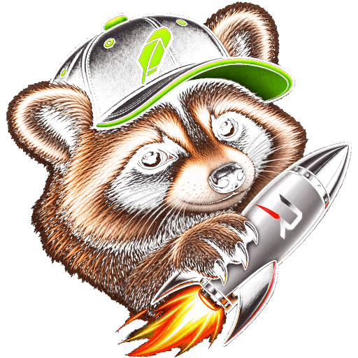 $ROCKET raccoon holding a rocket